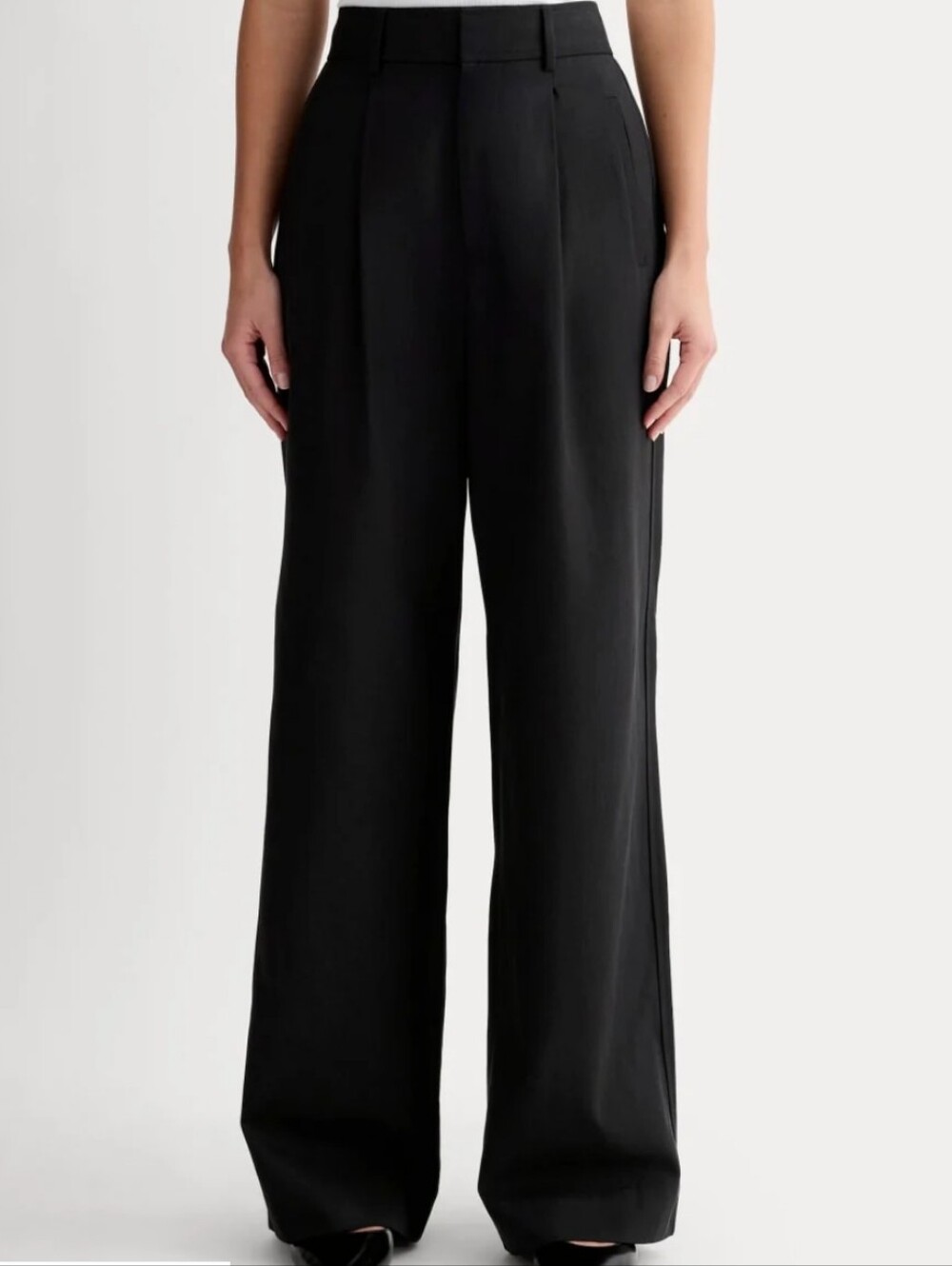 Everlane The Draper Pleated Pant in Buttersmooth Black - Size 10S